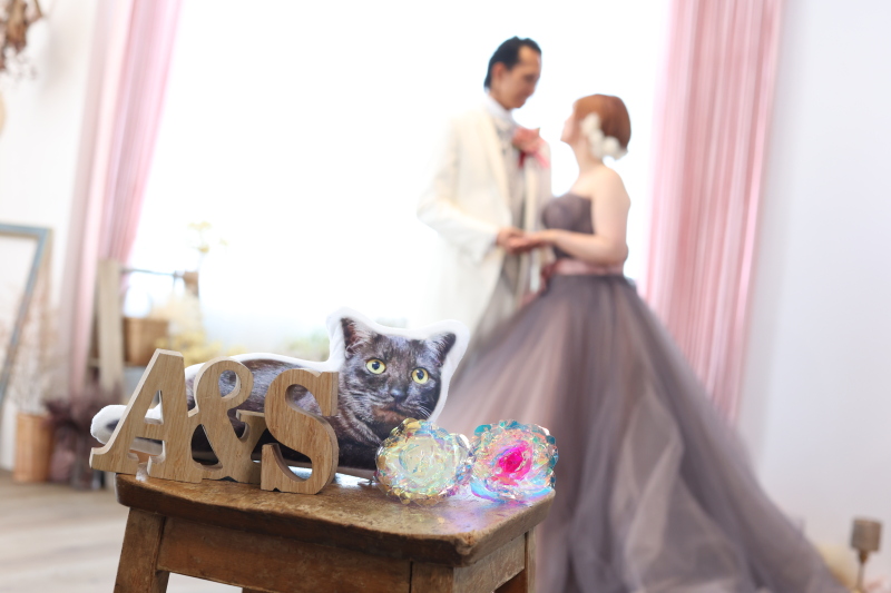 8月撮影、まだ間に合います！