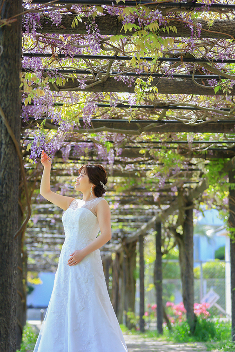 藤の花♪