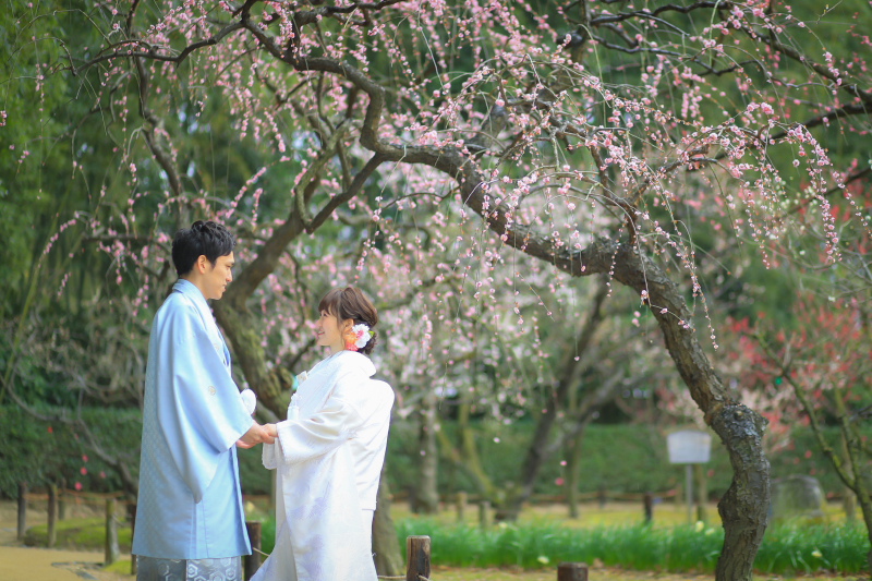 岡山後楽園~梅~