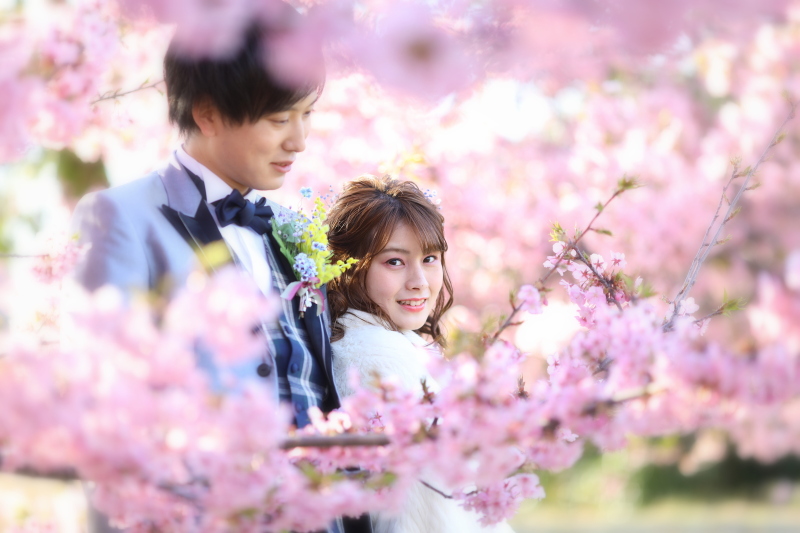 梅・桜の受付開始