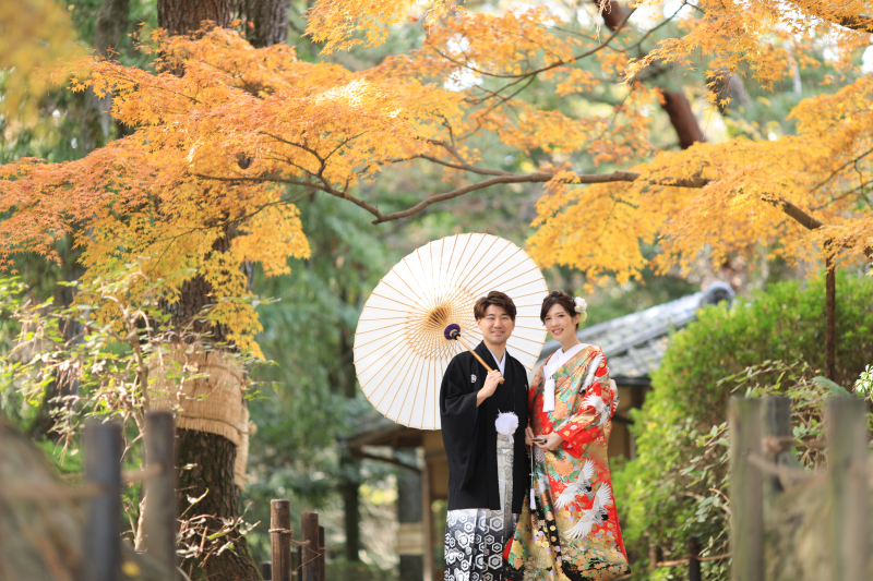 昨年の時期別紅葉状況♪【ご予約空き状況】