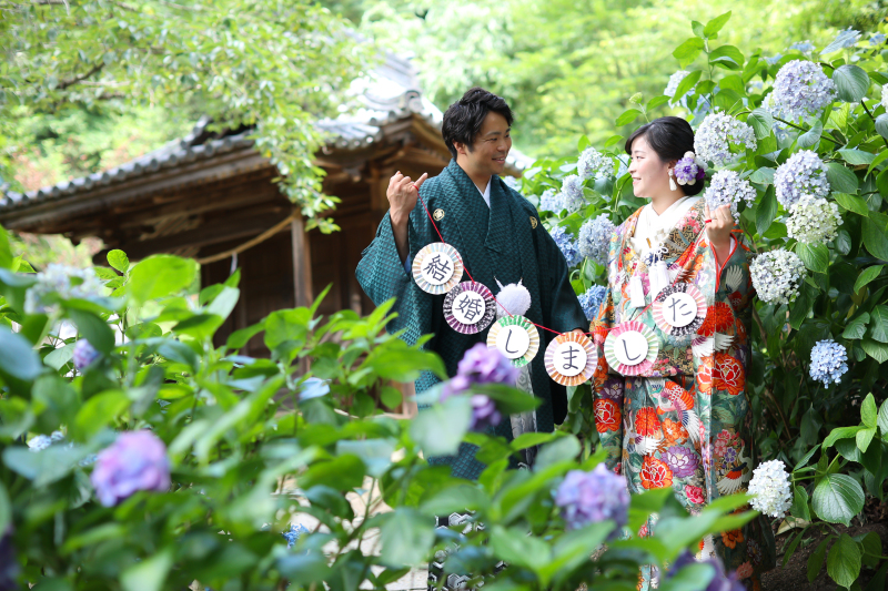 紫陽花の撮影はいかがでしょうか？