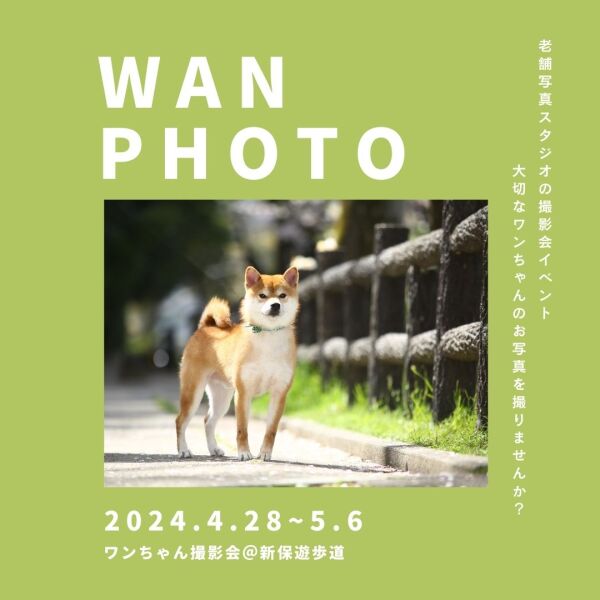 \ ゴールデンウィーク★フォトイベント / 遊びに来てください♩
