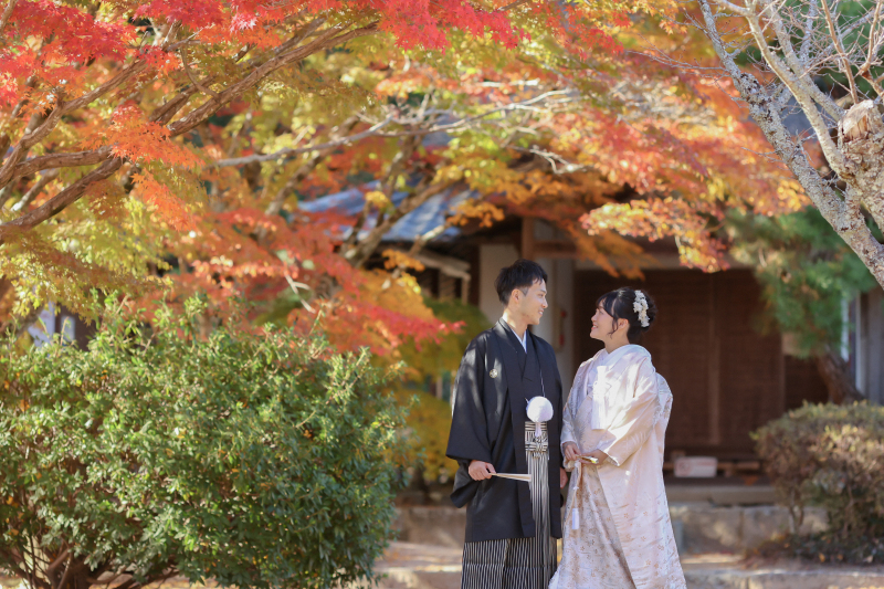 早得!紅葉ロケーション!8月末までのお申込みで嬉しい特典あり◎