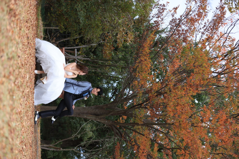 洋装　紅葉ロケーション撮影のご案内