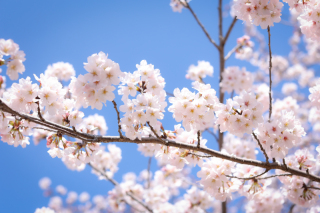 まだ間に合います！！