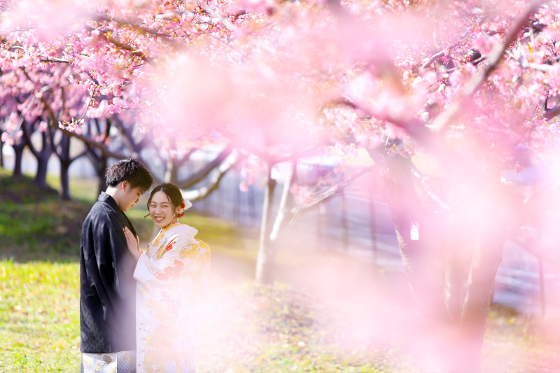 梅・桜の受付開始