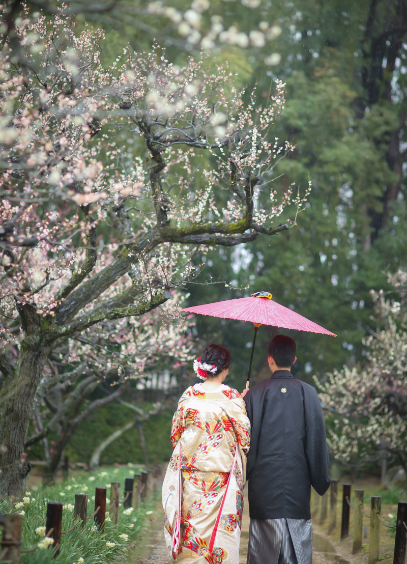岡山後楽園~梅~