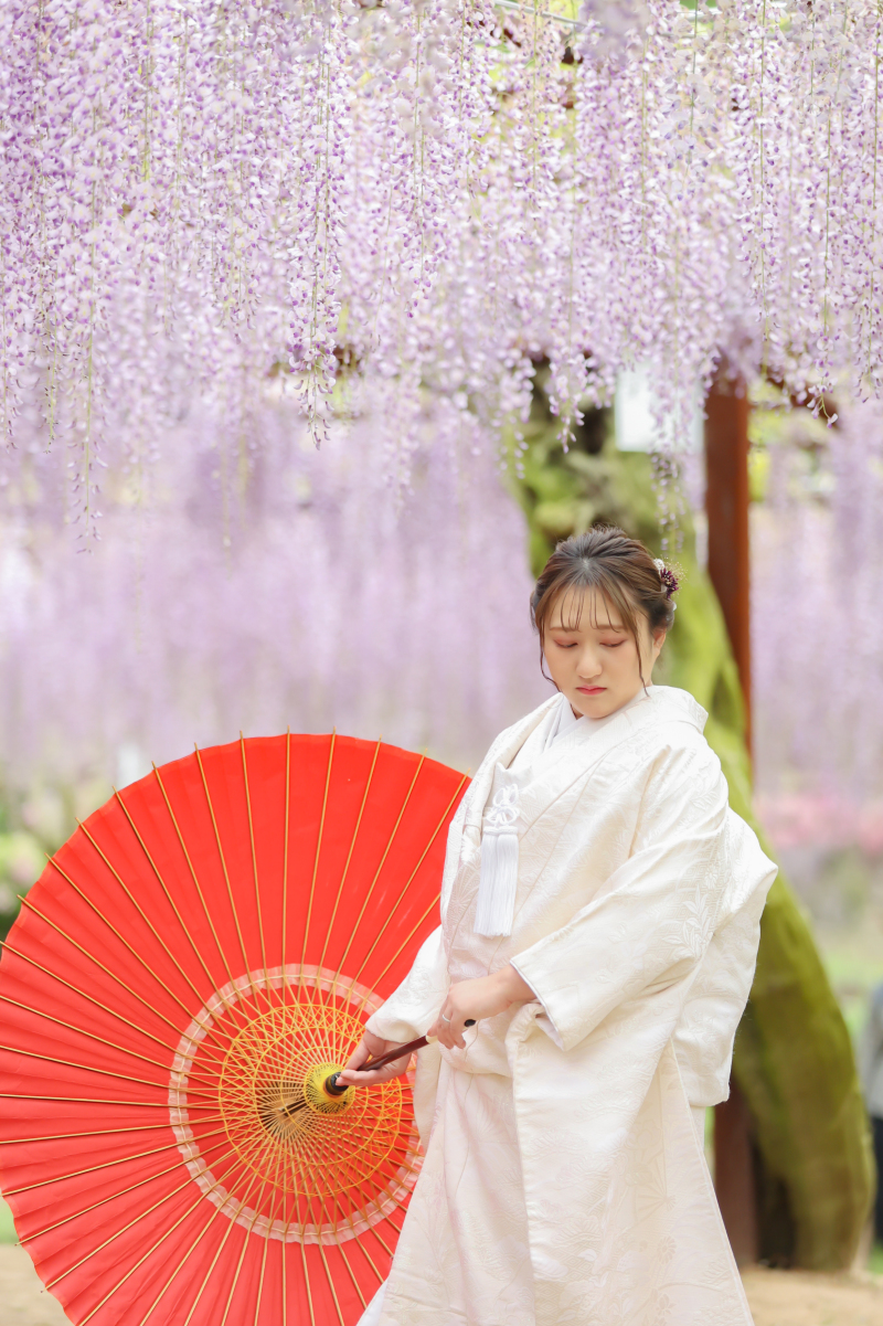 藤の花がとても綺麗でした~ヾ(≧▽≦)ノ