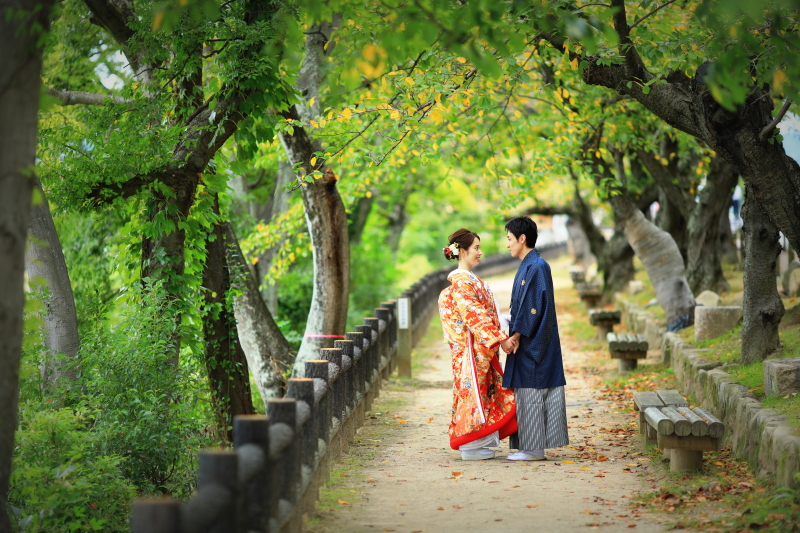 もうすぐ9月ですね