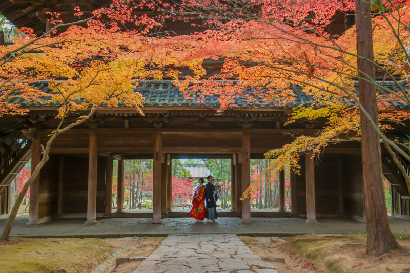 紅葉撮影まだまだご予約受付中♩今年は穴場シーズンですよ！