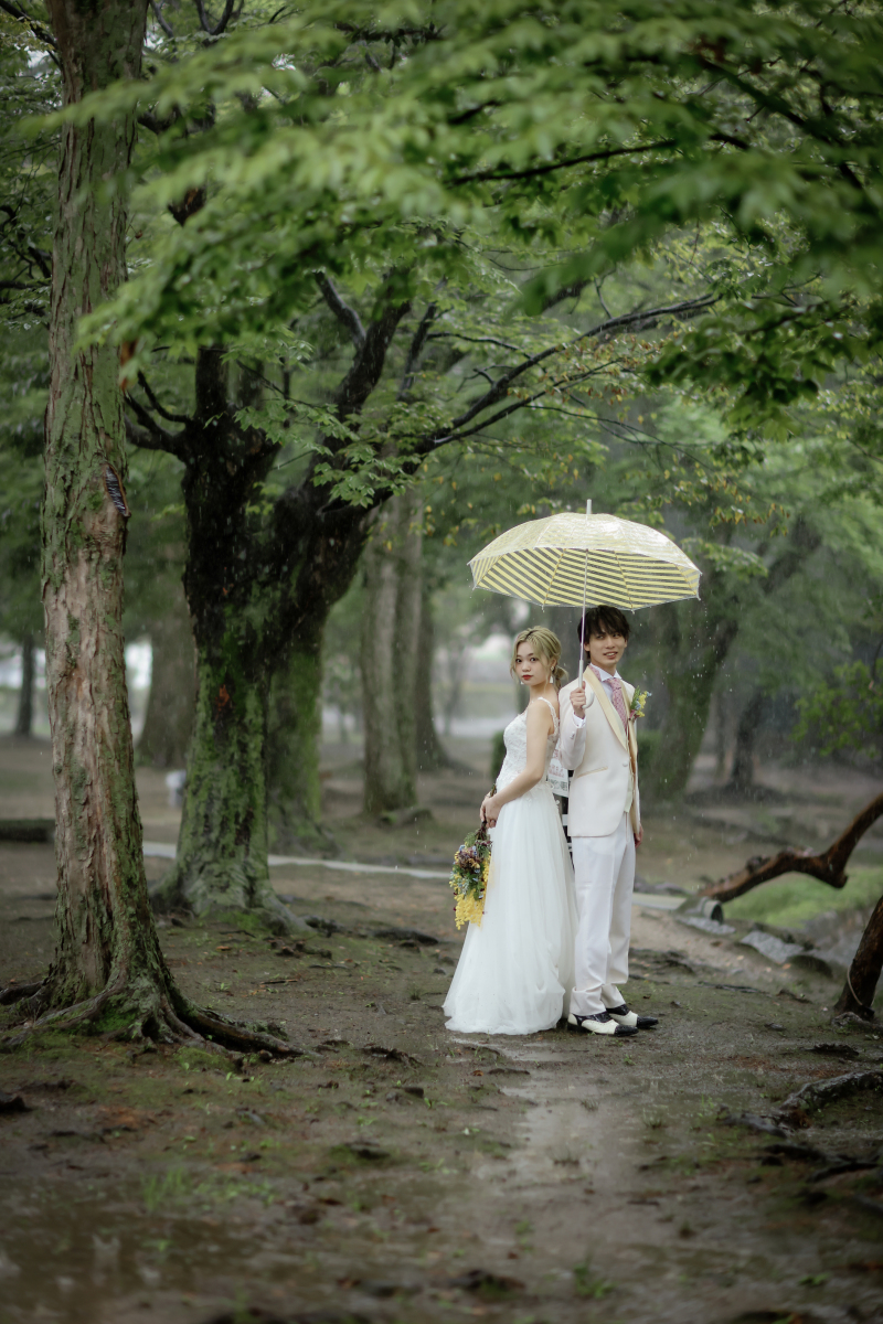 雨の日の撮影