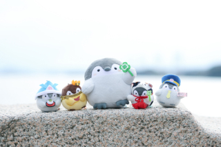 新緑の季節がやってまいりました♪