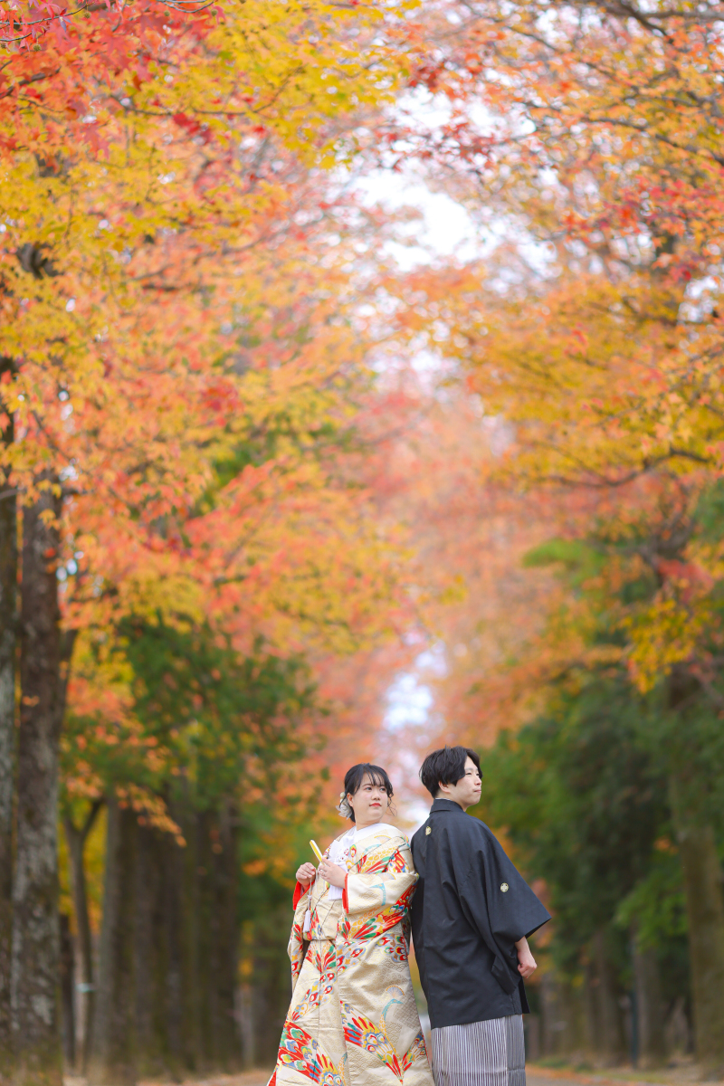 紅葉ロケーションに行こうよ~♪