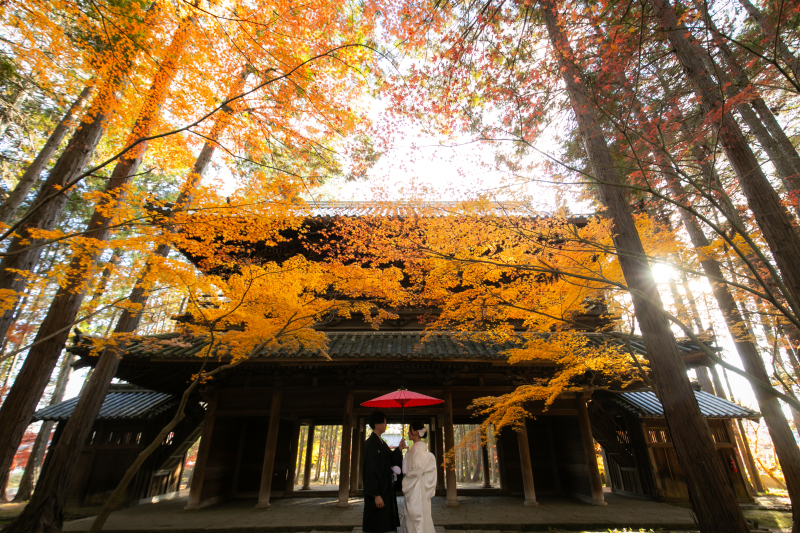 年内撮影、まだ間に合います◎