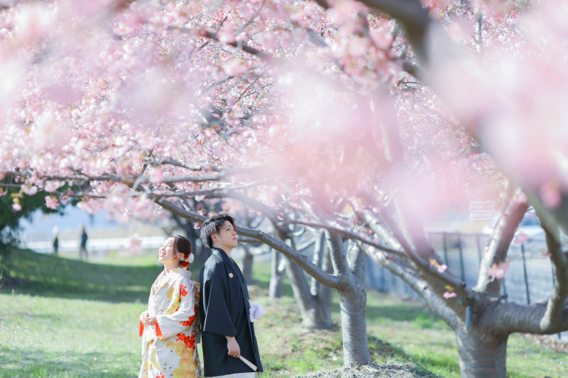 お得なキャンペーン①【桜♥ロケーション】