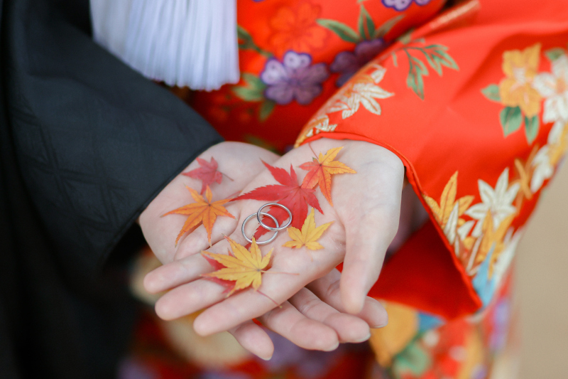 紅葉撮影のお問い合わせ、始まっております!