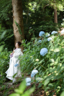 紫陽花ロケーション♪