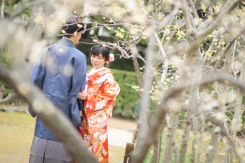岡山後楽園~梅~