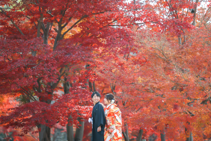 紅葉ロケーションに行こうよ~♪