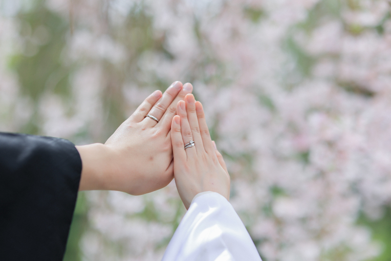 和装前撮り 桜の季節の特徴