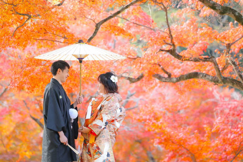 紅葉ロケーションに行こうよ~♪