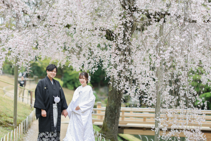 和装前撮り 桜の季節の特徴