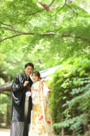 桜が終われば・・・