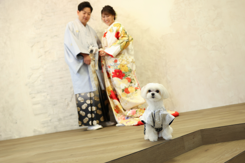 ペットと一緒にフォト撮影♥