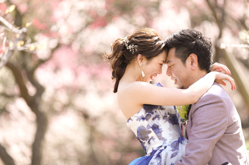 梅・桜の受付開始