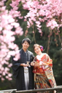 早めの桜ロケーション