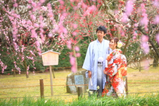 梅・桜ロケーション撮影、早期成約特典は1月2月まで