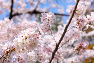 和装・洋装ロケーション
