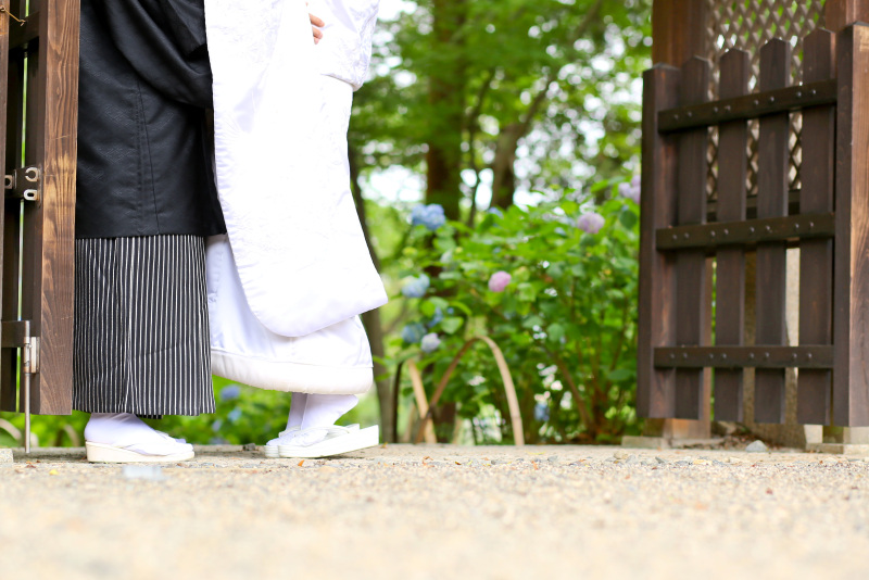 あじさいの時期のロケーション撮影受付中