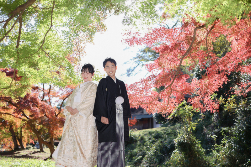 早得!紅葉ロケーション!8月末までのお申込みで嬉しい特典あり◎