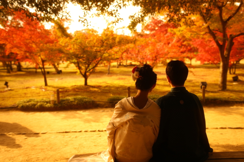 紅葉ロケーション【ご予約空き状況】