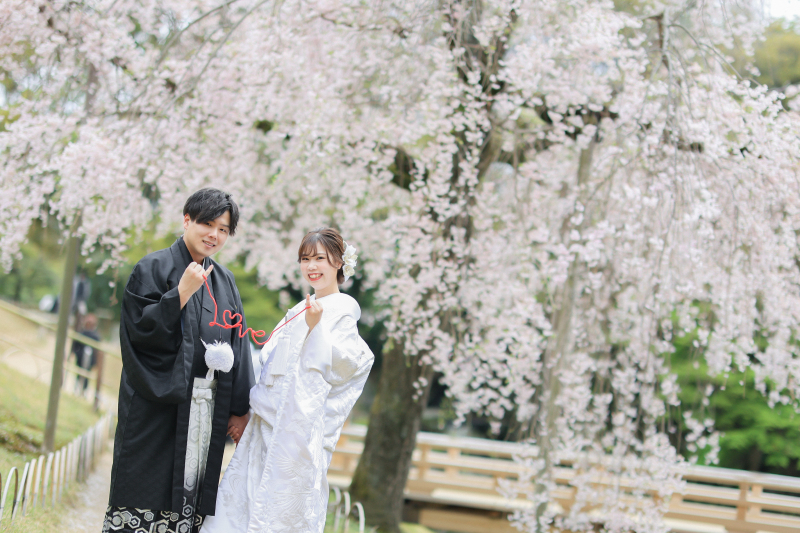 和装前撮り 桜の季節の特徴
