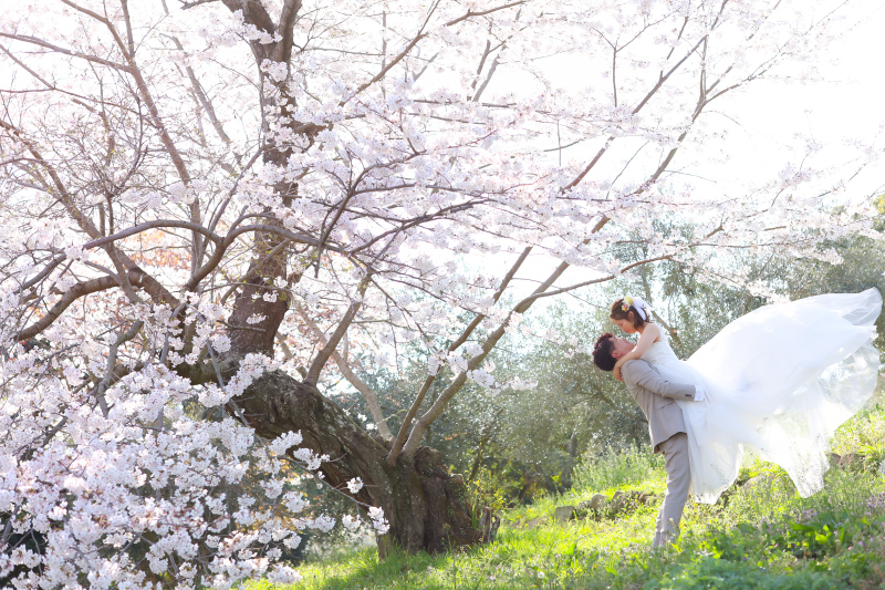 河津桜ロケーション!