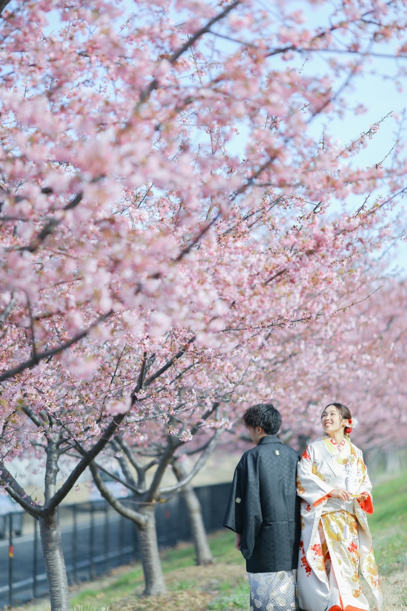 どの PINK がお好き?