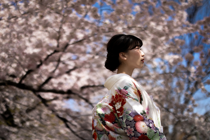 SAKURA