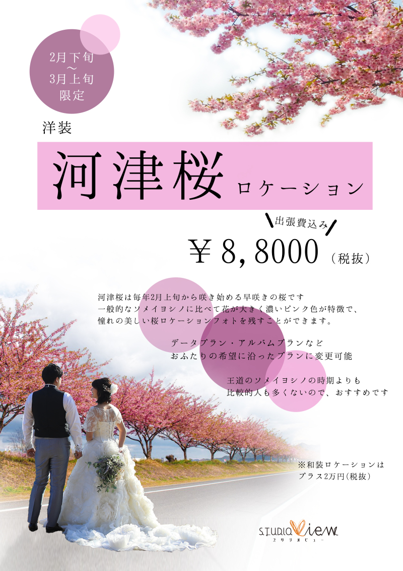 河津桜ロケーションプラン登場しました♪