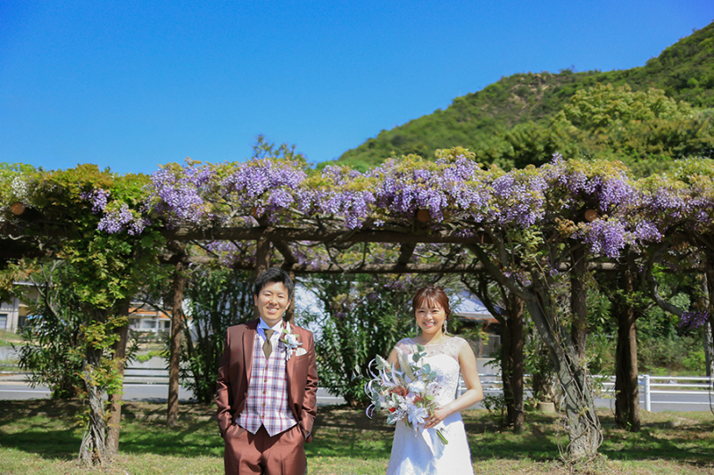 藤の花♪