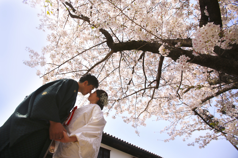 桜開花がすくそこまで♥