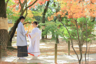 【最新情報☆紅葉ロケーション空き状況】まだご予約間に合います！