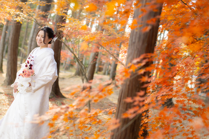 年内撮影、まだ間に合います◎