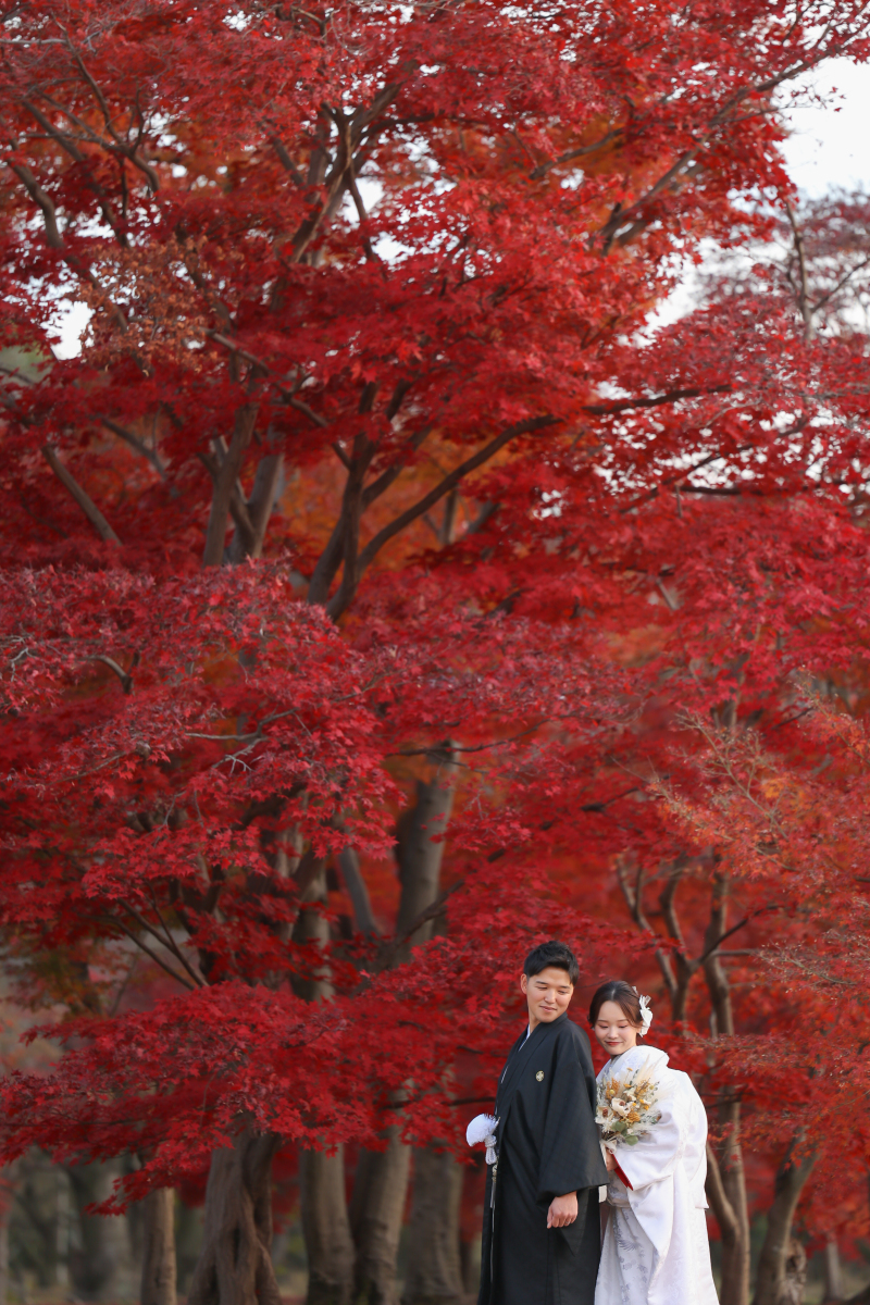 紅葉での和装撮影