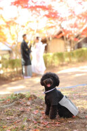 愛するペットも一緒に撮影❤❤❤