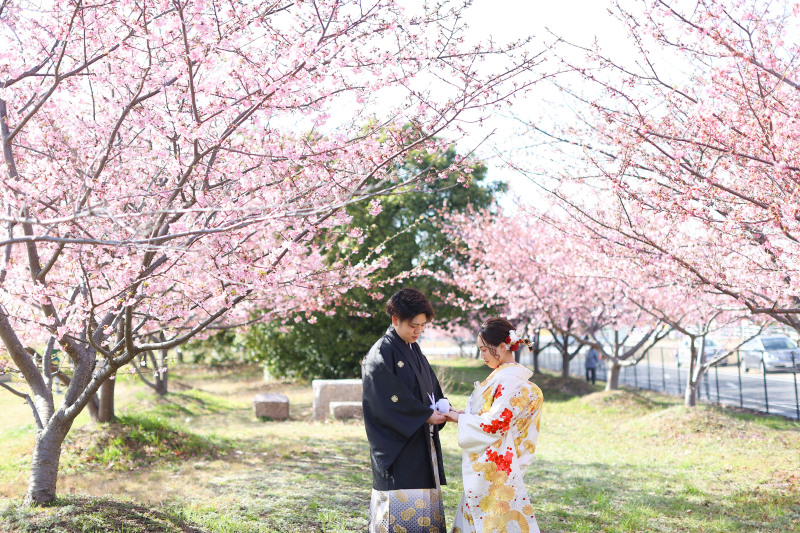 河津桜