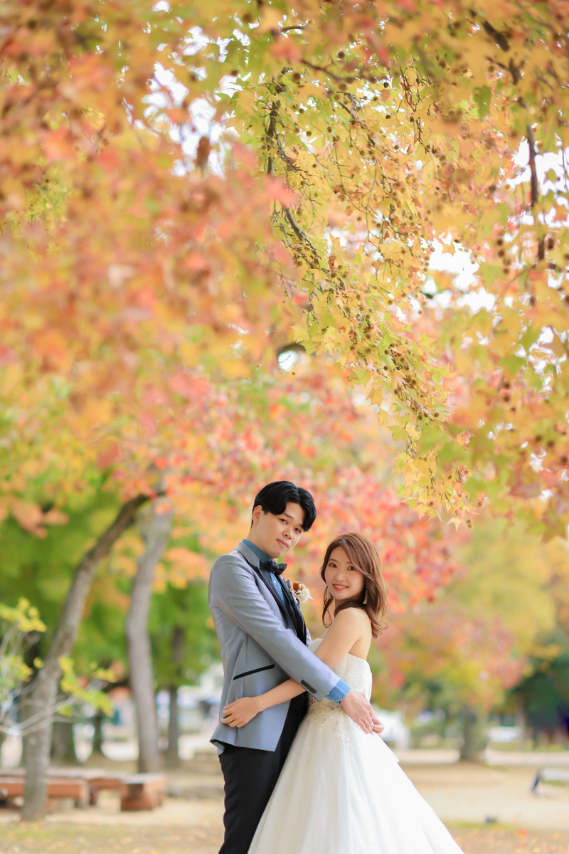 紅葉ロケーションは早めのご予約が吉(*^。^*)