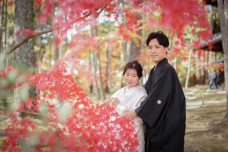 紅葉撮影、まだ間に合います♪